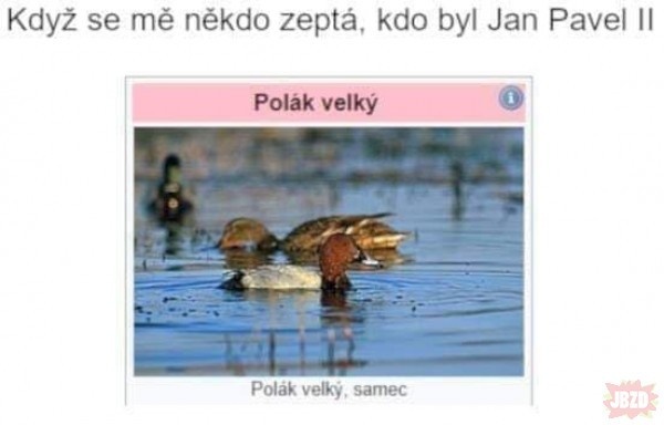 d6ae6300-223c-47cf-90f9-8de0db731e8d