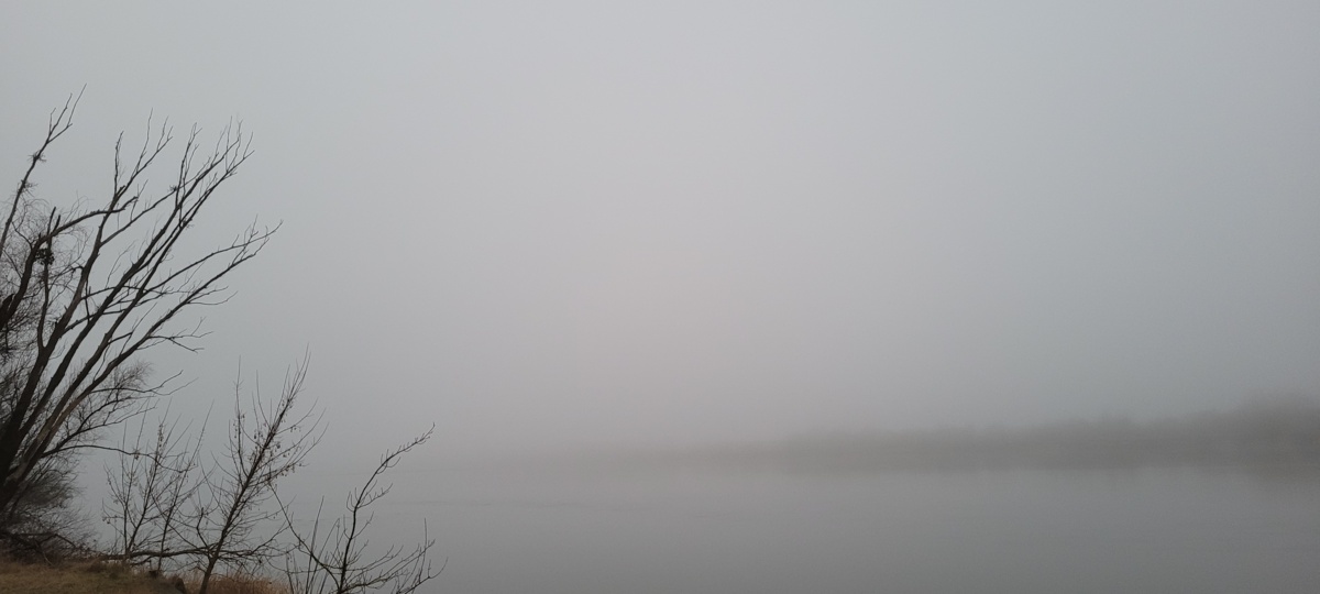 f3914d89-74c8-4e61-8572-4e26e78b4ee7