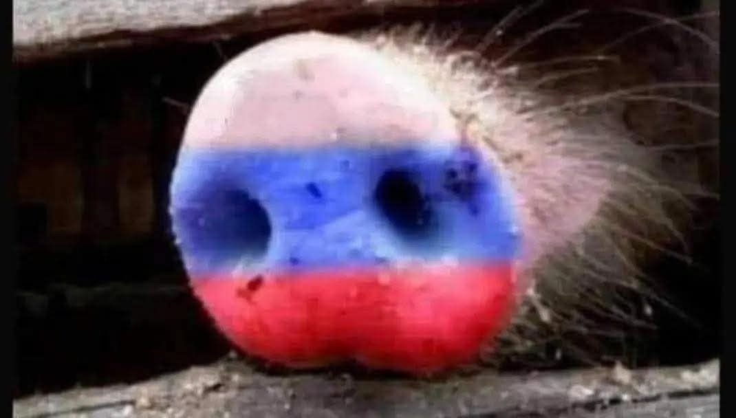 d6431d44-8f4e-457b-b338-8e65c7e1b1ce