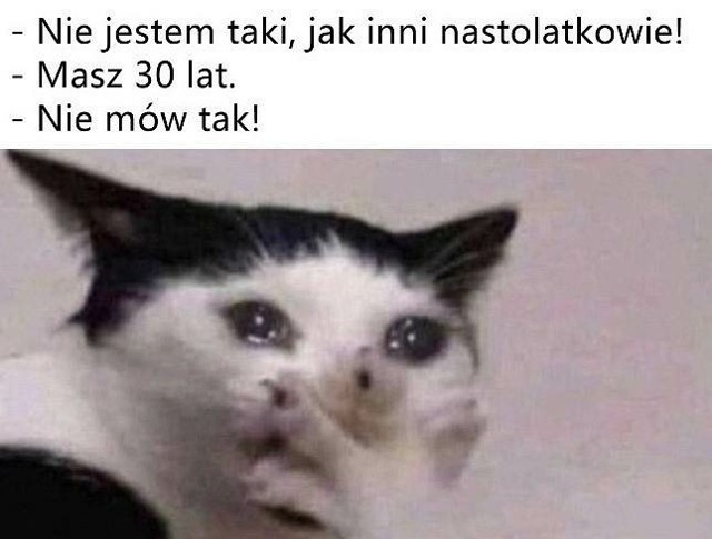 e4624983-f457-41c3-b20b-163d951d54ea