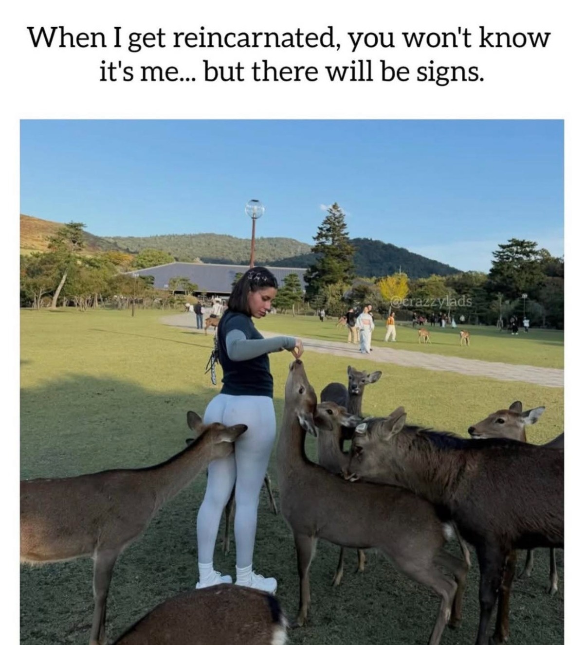 380bc24a-79fd-47fc-a3fc-448fe77329a8