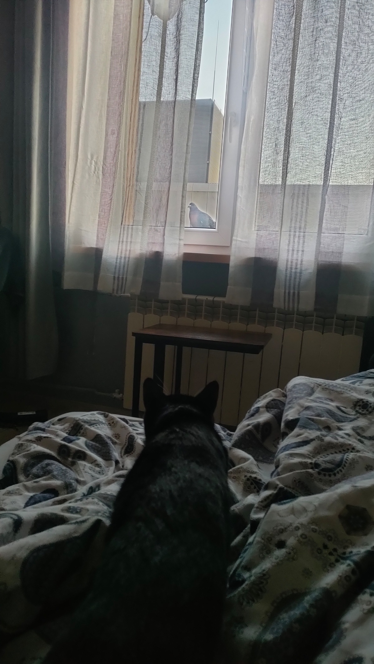 10d9c0a6-d404-4183-8f59-9bd41097a36f