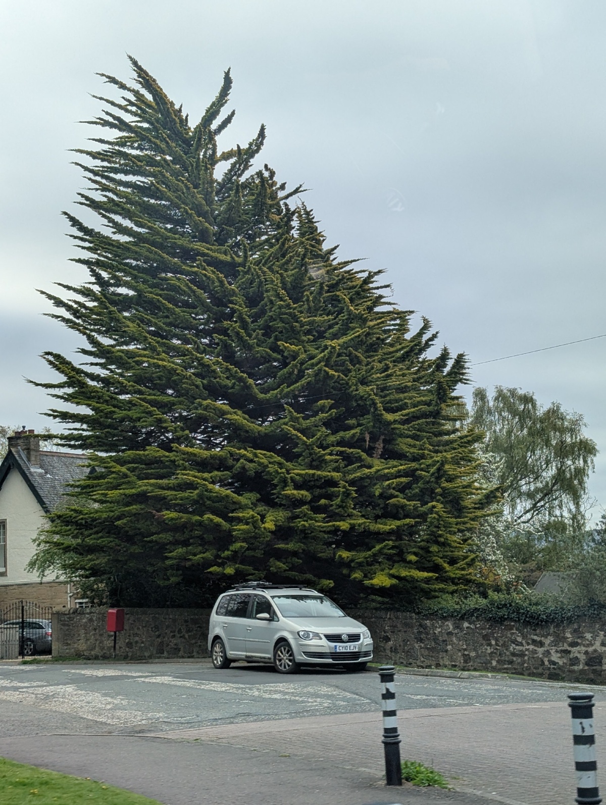 55a68a9a-d5c8-4031-b7c1-5c6e656e9c6d