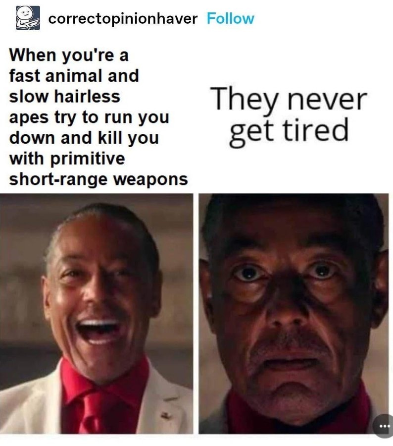 8d6575e6-2287-4e63-ad26-60231455e4db