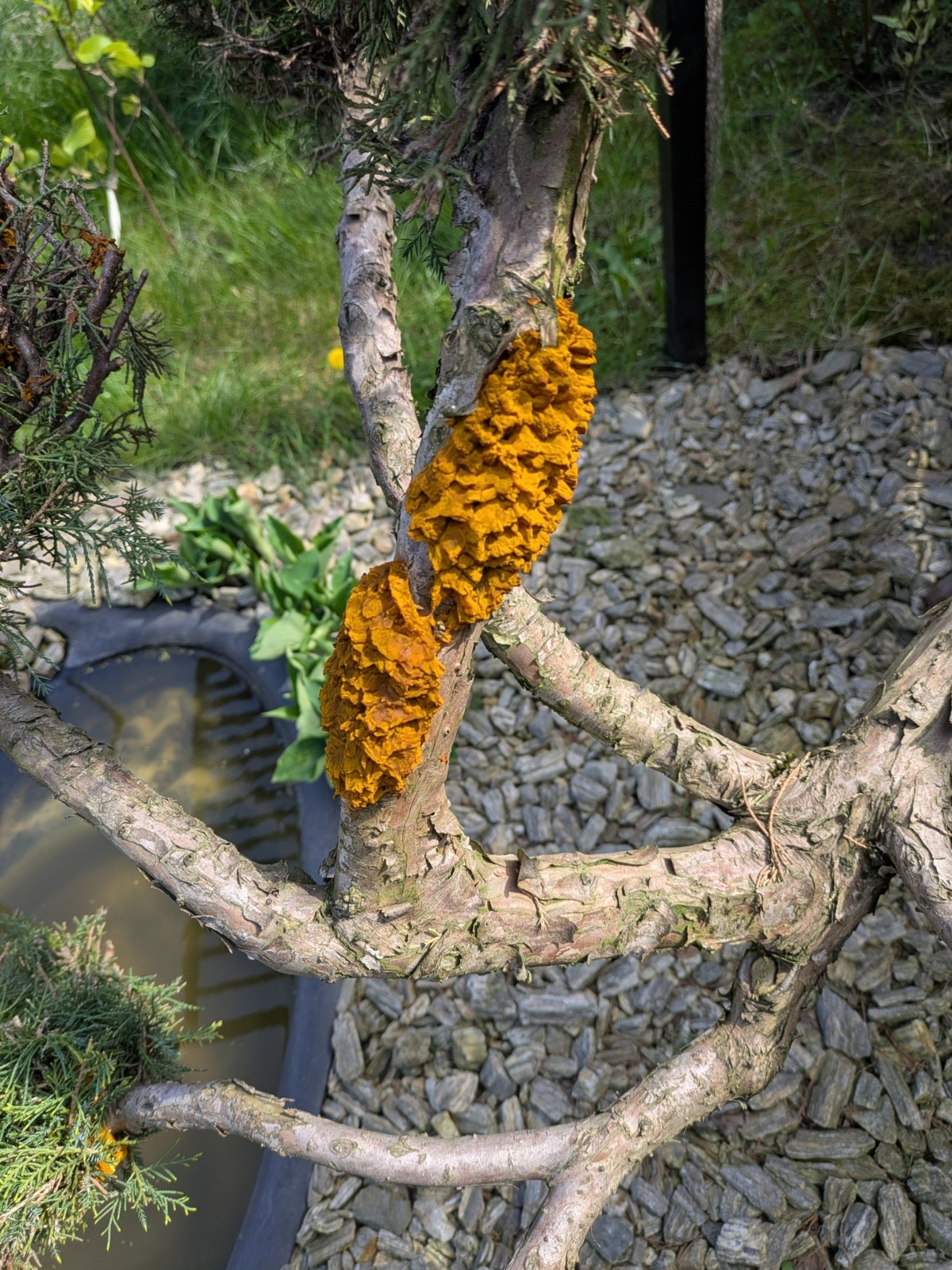 c9ac8b94-3866-4b76-9f18-327a44cda572