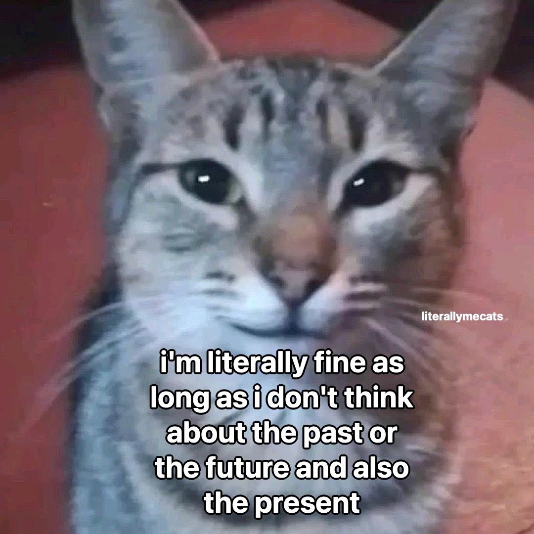 b7564fc3-ecff-4456-beef-a842f8c2a5da