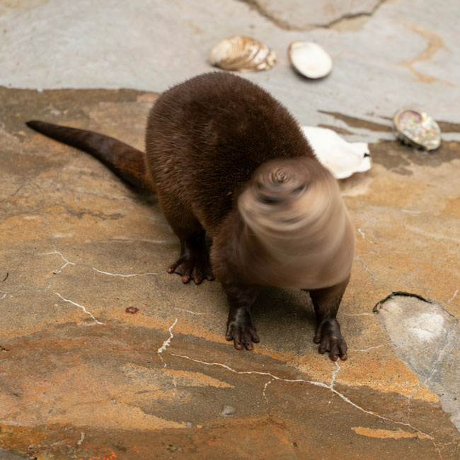 aa953215-6b6b-4aa2-9761-249630ddb79a