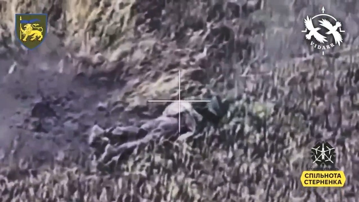 ed36a5fc-0987-481f-8eb7-411ee2b686d5