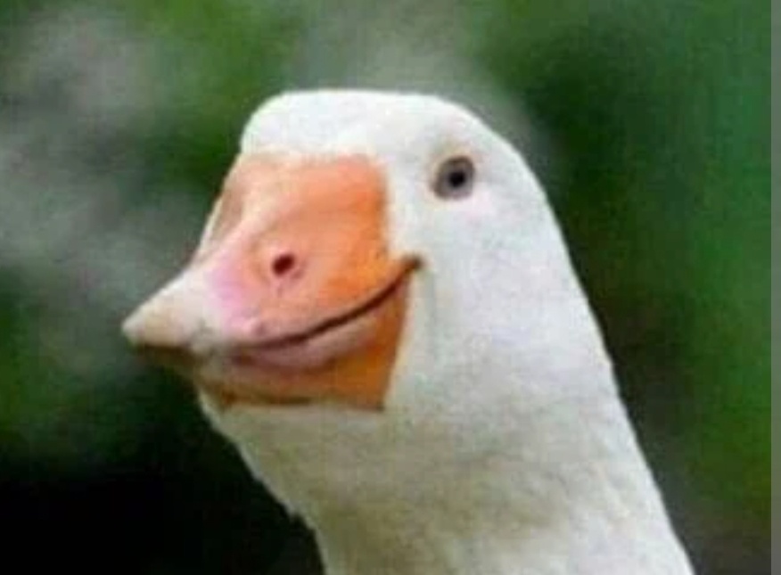 09620535-67a2-4332-94ab-7aac530a0e8a