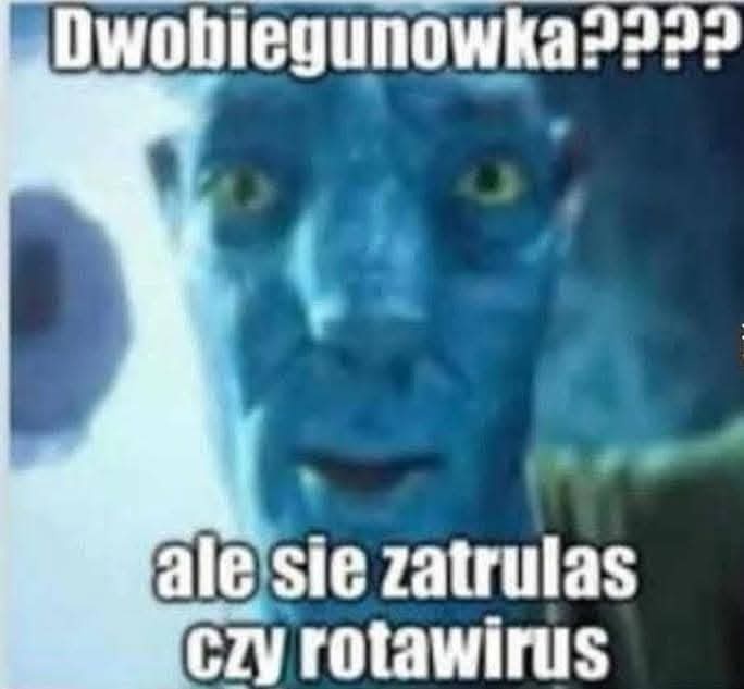 bff1fb50-8dec-4eea-839f-62de21507e5f