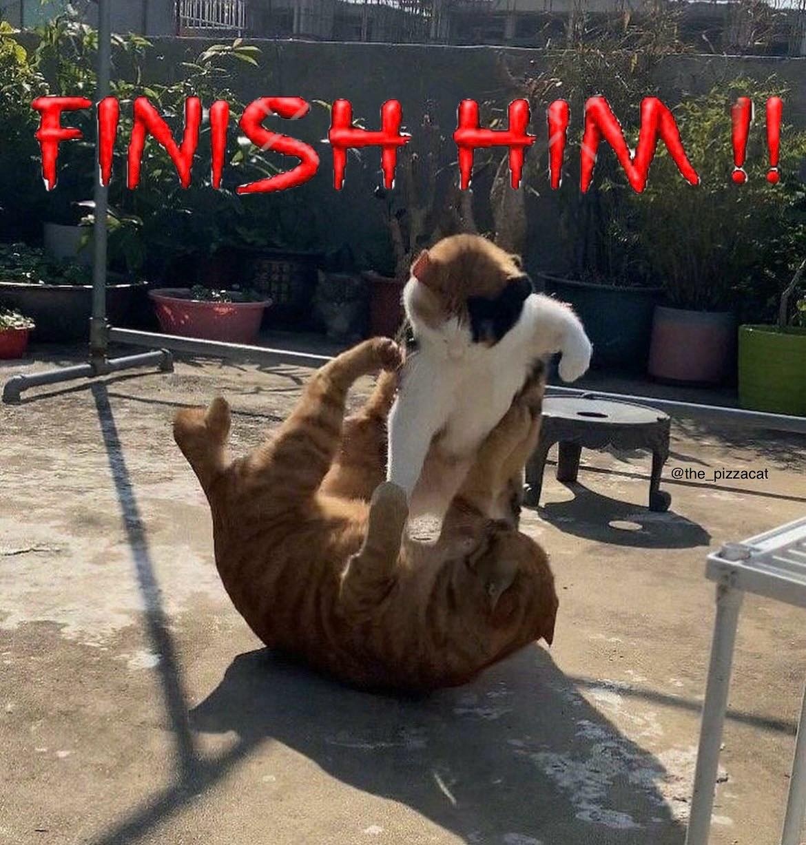 ce23123c-4710-43f7-a29d-932790e52a0d