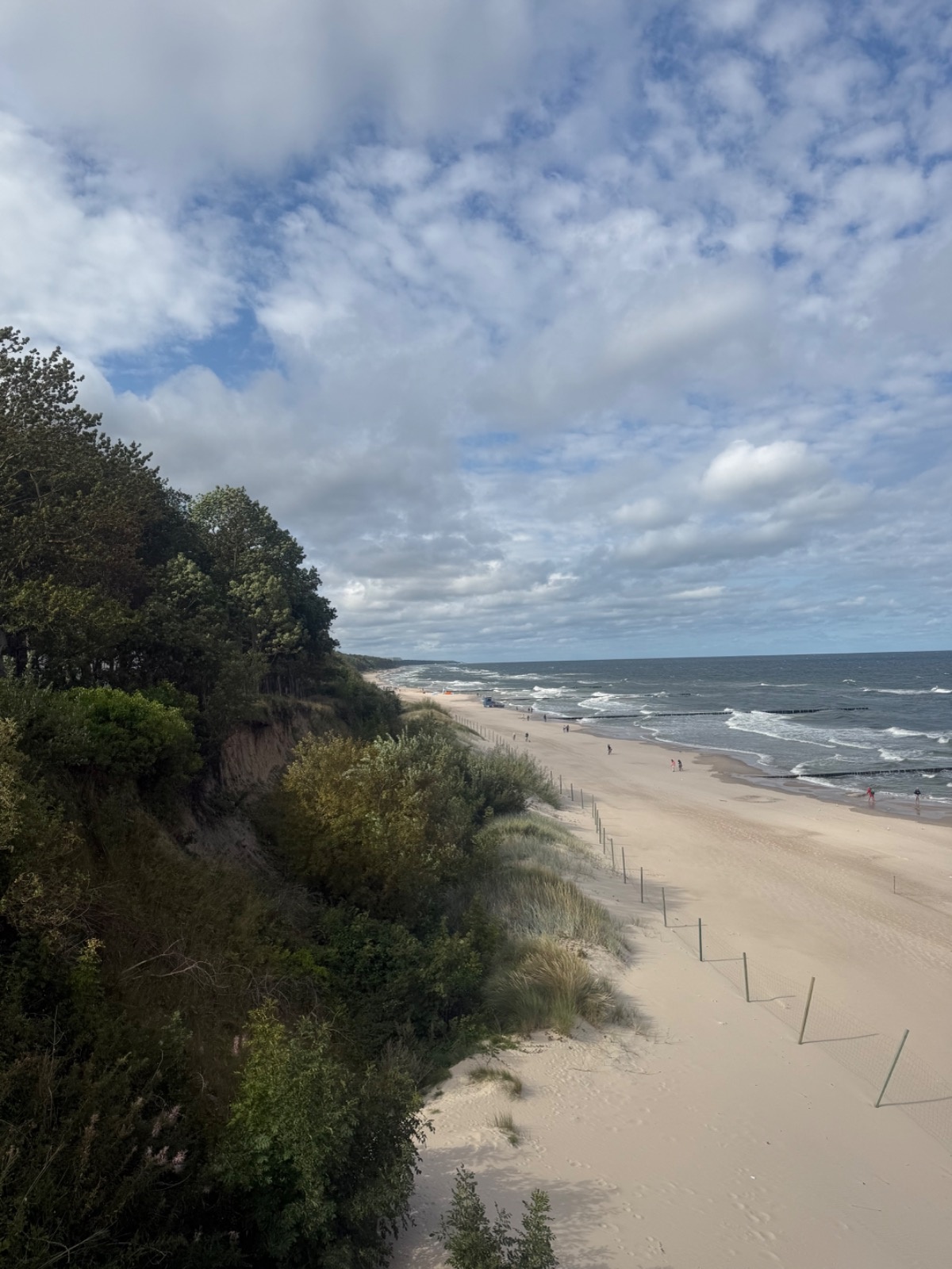 32335c27-3462-4f62-9641-cd2dd438b799