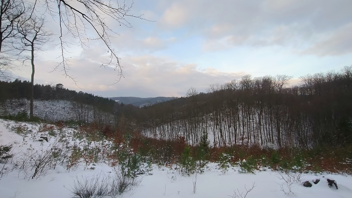 76430e2e-3faf-41a2-b5db-f0cb5f199b79