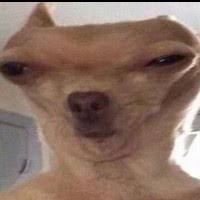 c5875d5a-b17c-41e9-b05f-e497ff9e8f45