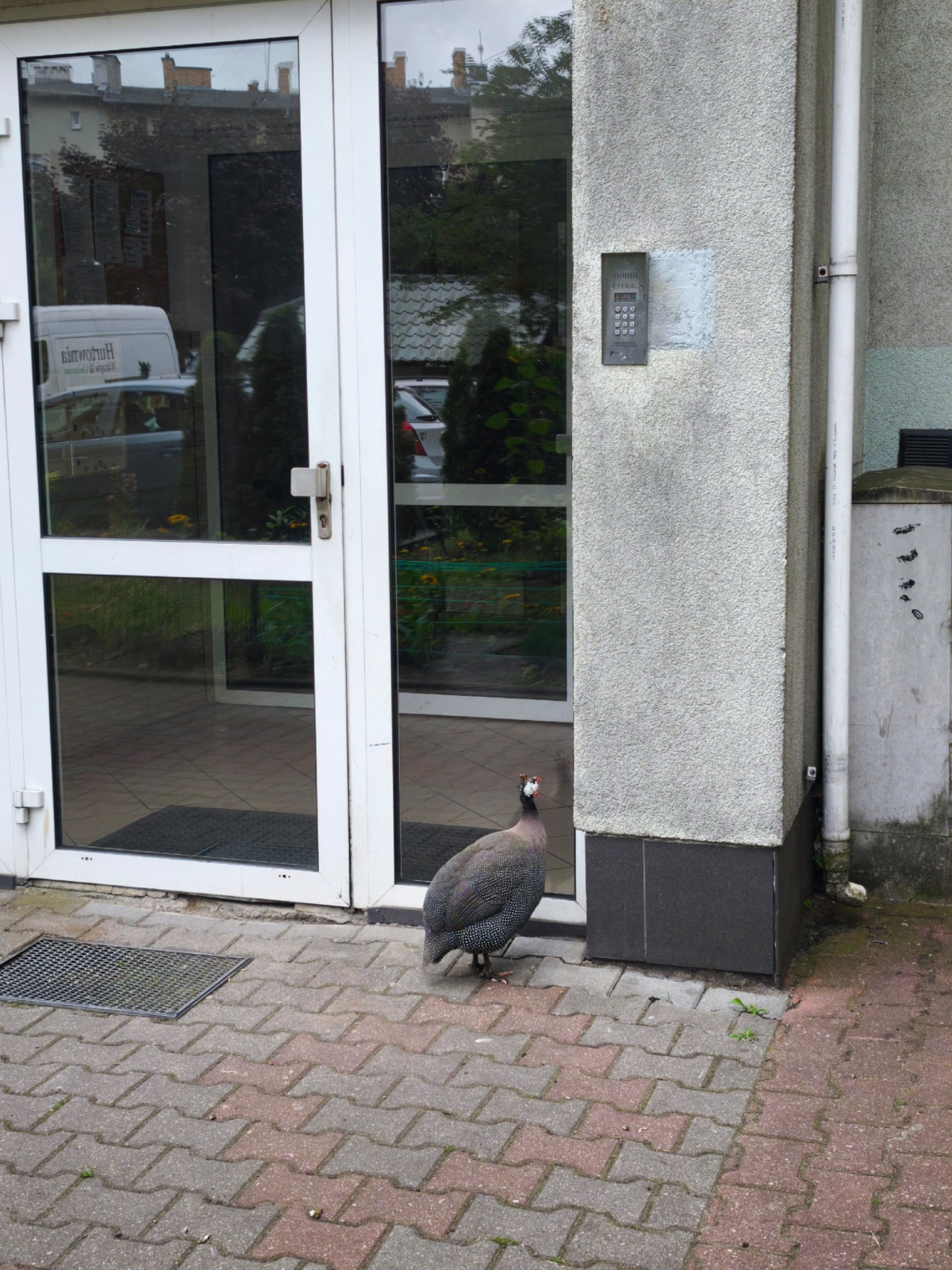 167204c4-d137-400a-9aaa-7628863c3d47