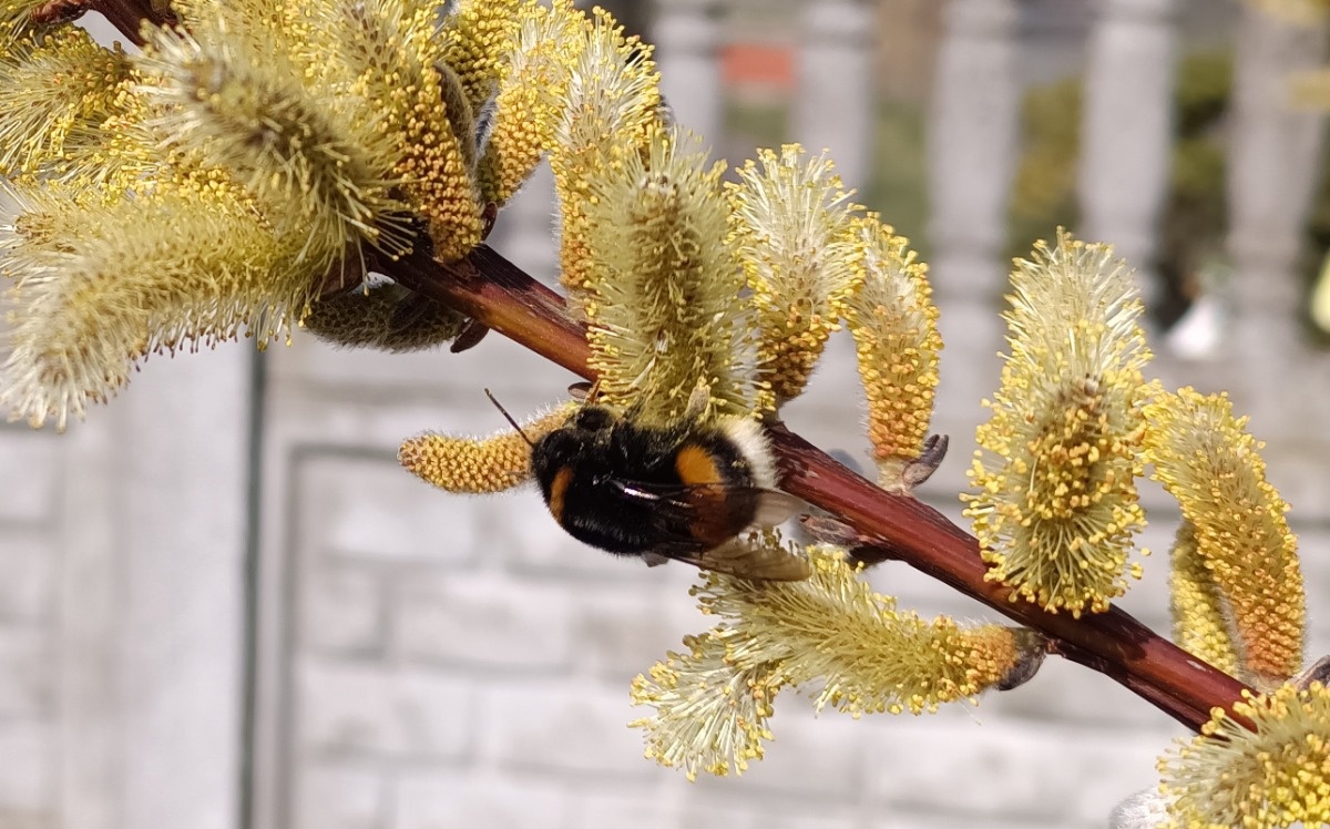 3ebd6435-15c1-4c15-bdb6-db6940910e6a