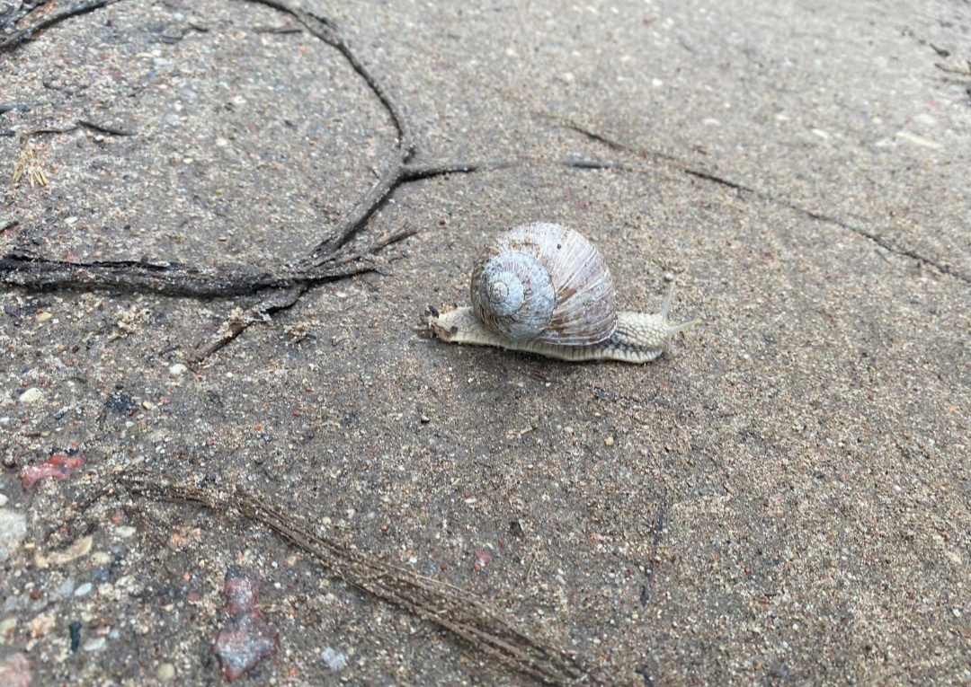 3764365f-e30a-43f2-bf1e-db18aeab6f7b