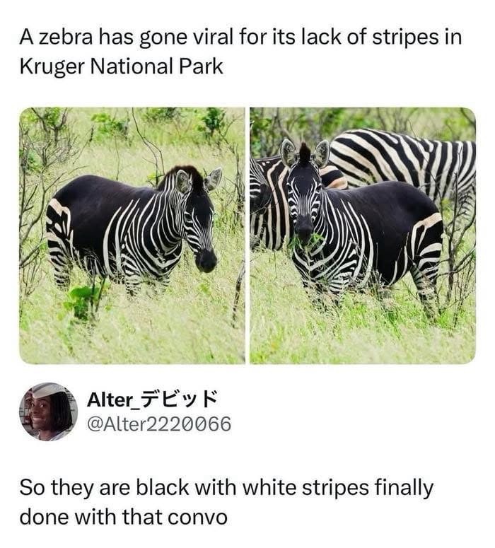 92b27614-6b86-43a4-9789-e3ba8e26985d