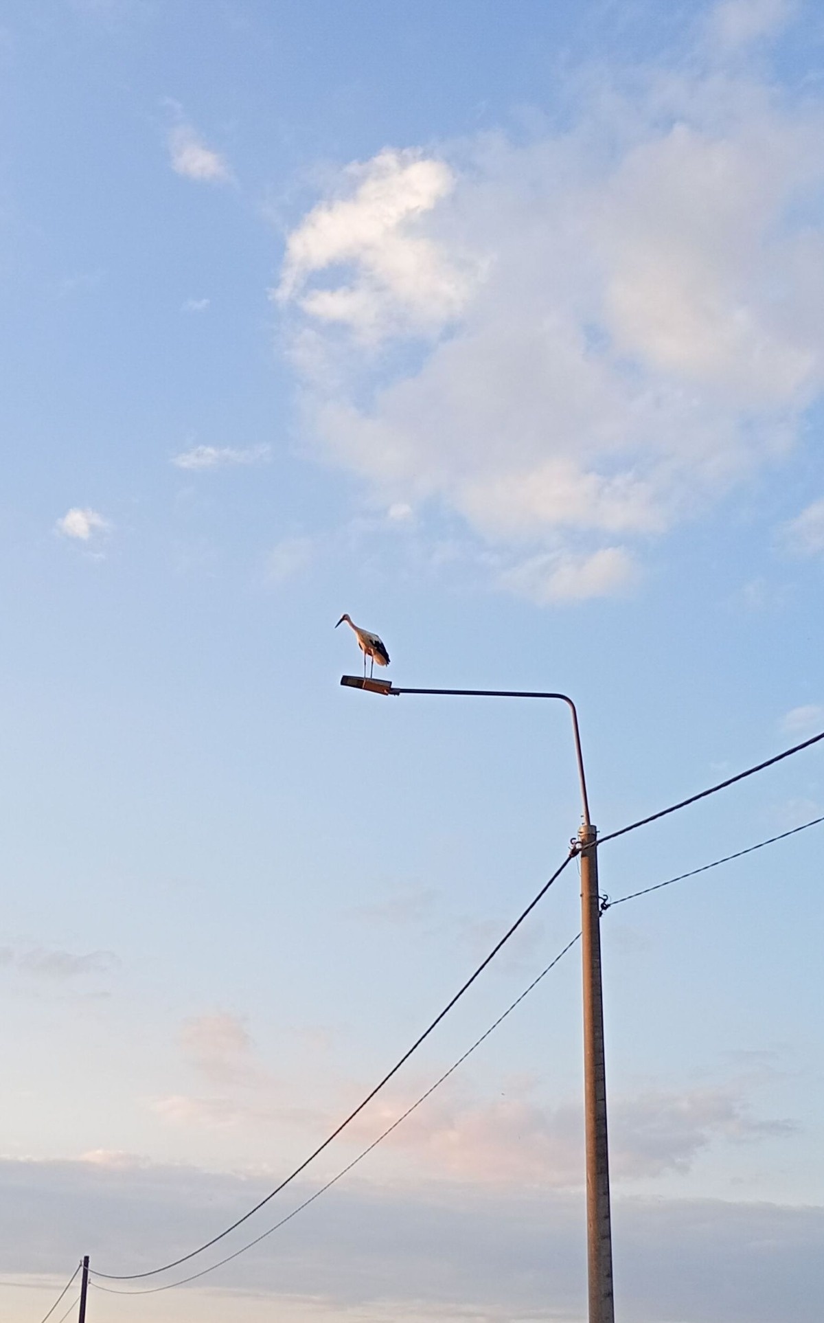 dcdd248b-8672-41a6-a692-b59812d11282