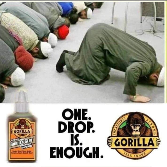 40773790-32b6-4347-ae05-ab69b2658af6