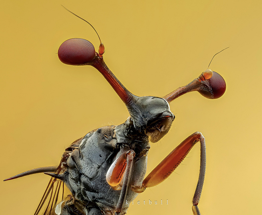 1ba84df0-98e0-486b-9e87-324c11ef5a34