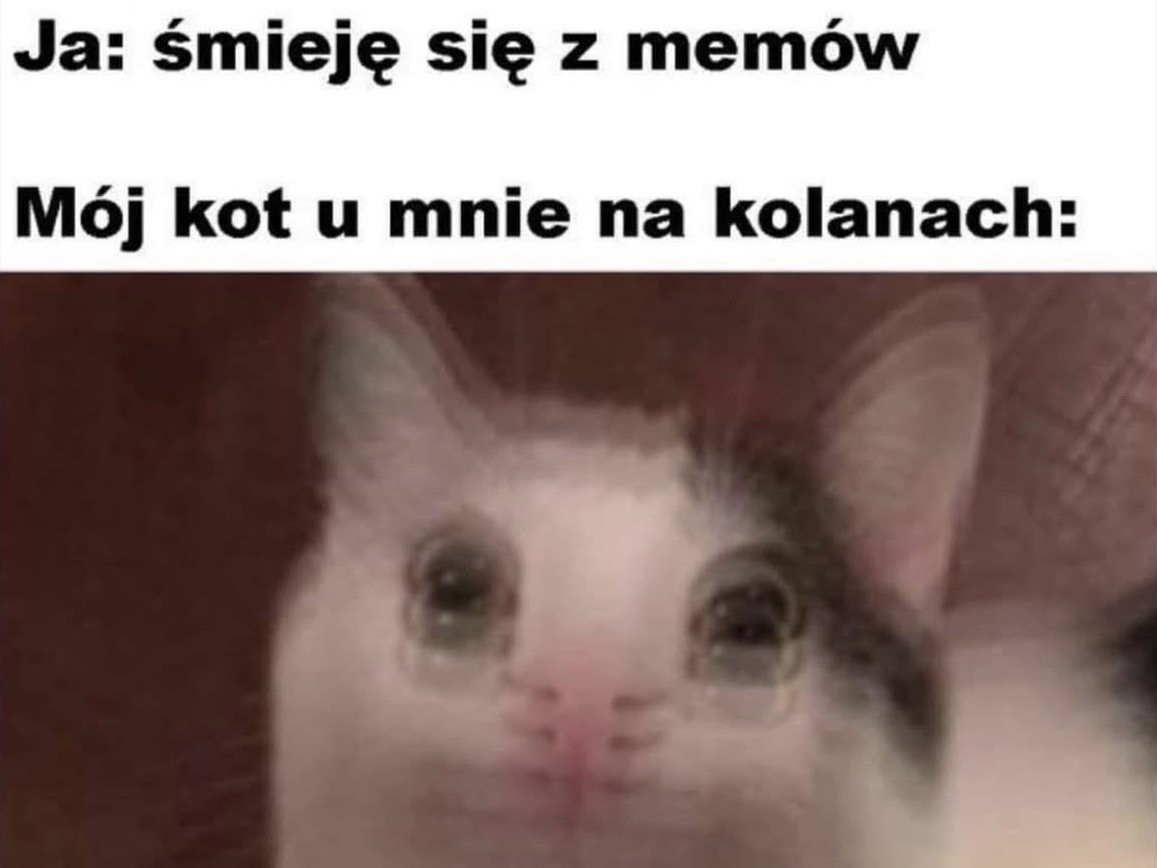 90f13f94-1db5-4841-8fa5-079b10692735