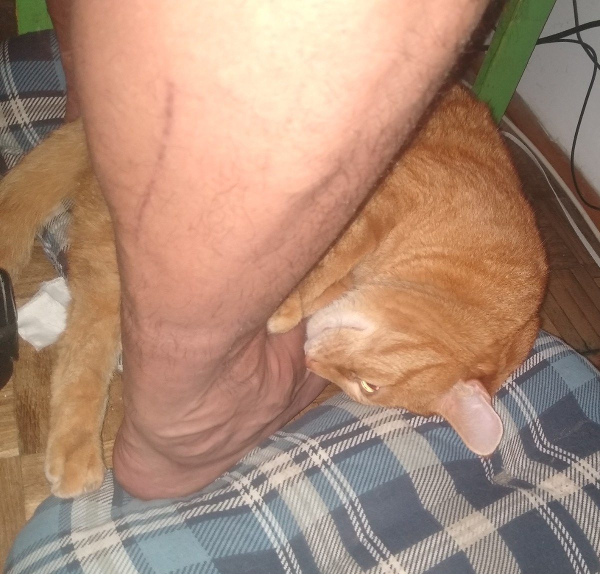 be2bbdf4-a094-44ef-8b2c-d2050f4379af