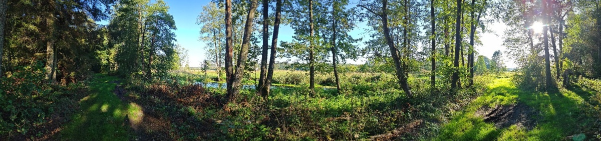 66c5799c-cc6d-4f15-b59f-fc69f21e39b8