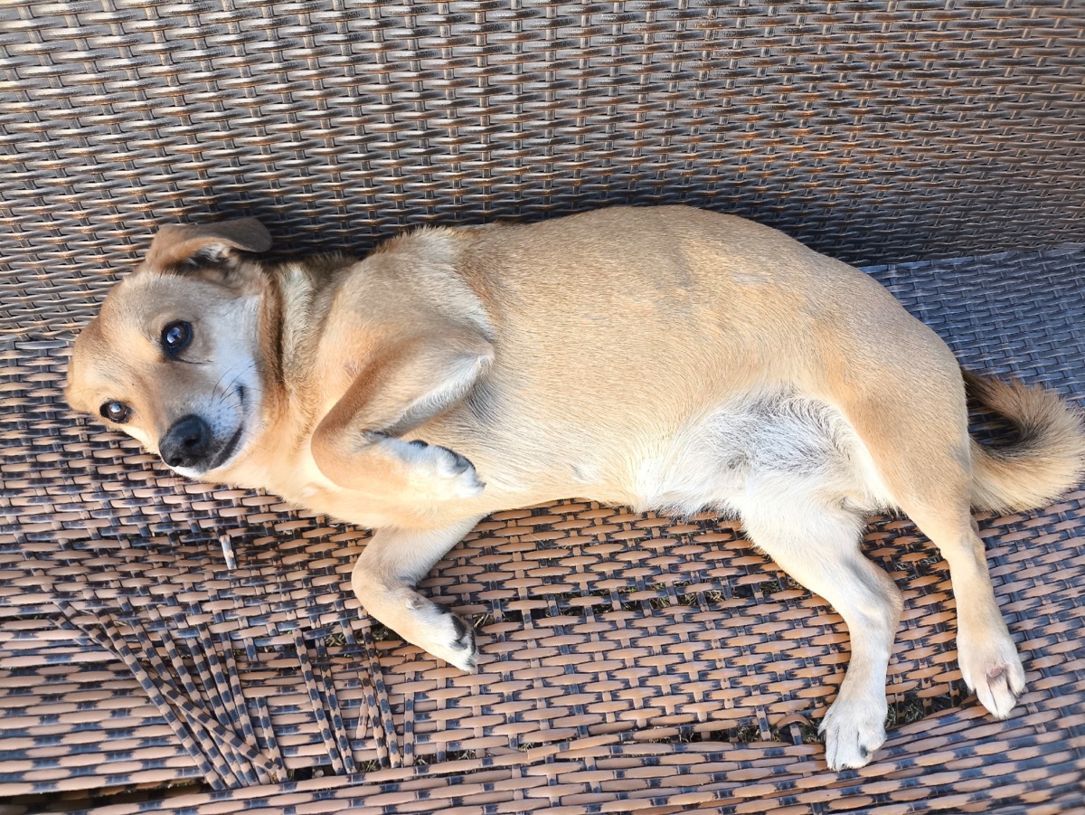 b66e4d89-a47d-48cf-91f7-e9492346772b