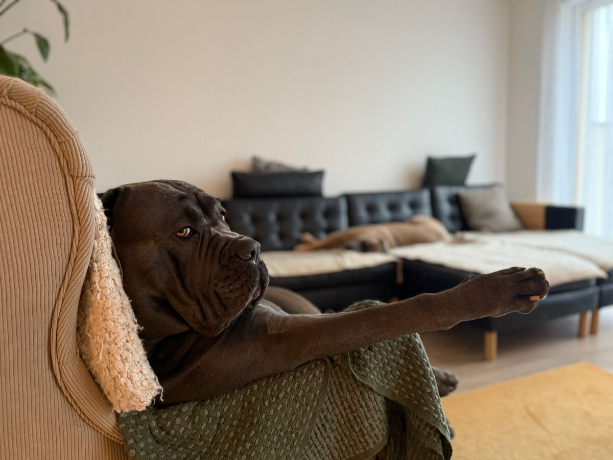 64c2050e-3334-48da-8c55-599b7167f7b1