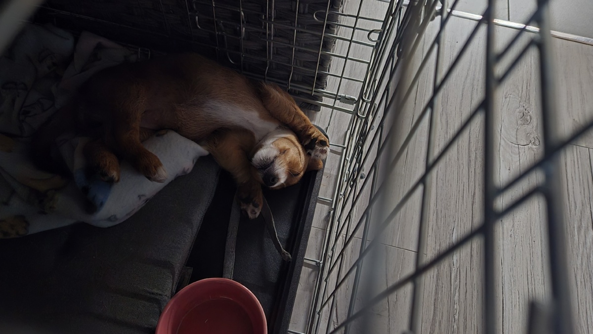 ebb2b52b-58fa-41a3-9e7c-242eb8baa9bb