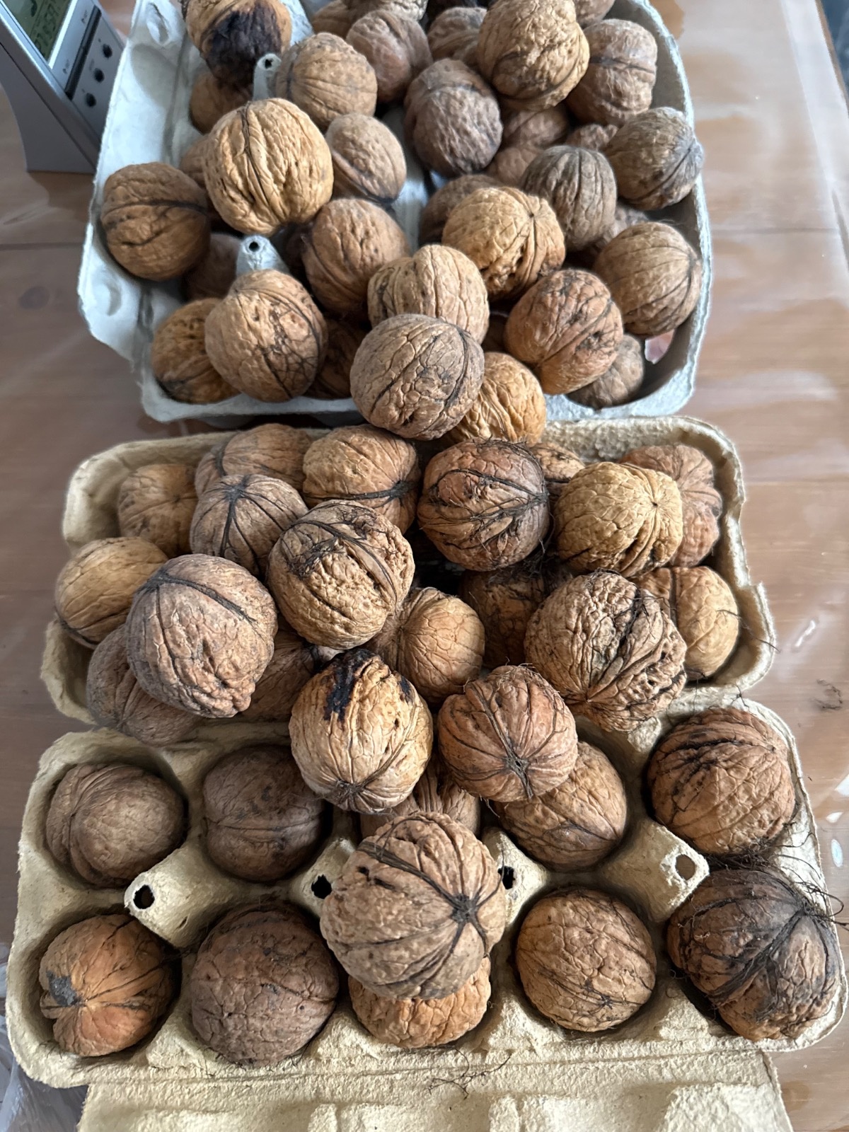 66650d7e-9d7c-459d-9e14-9532390f64e8