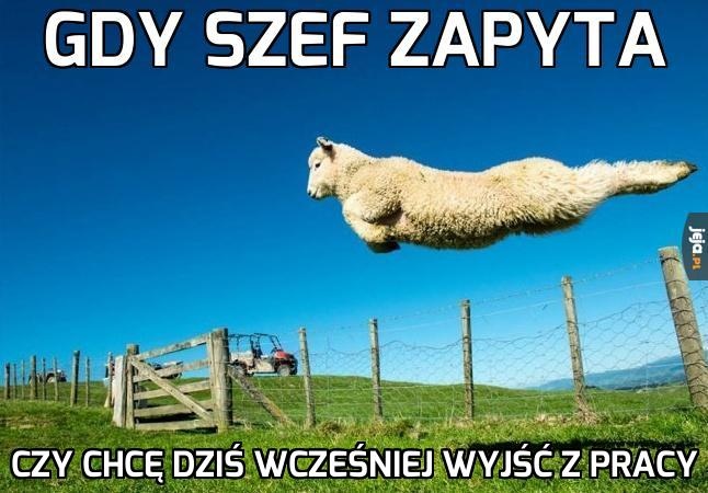 58e7116a-84ab-4936-8087-9b84cc800607