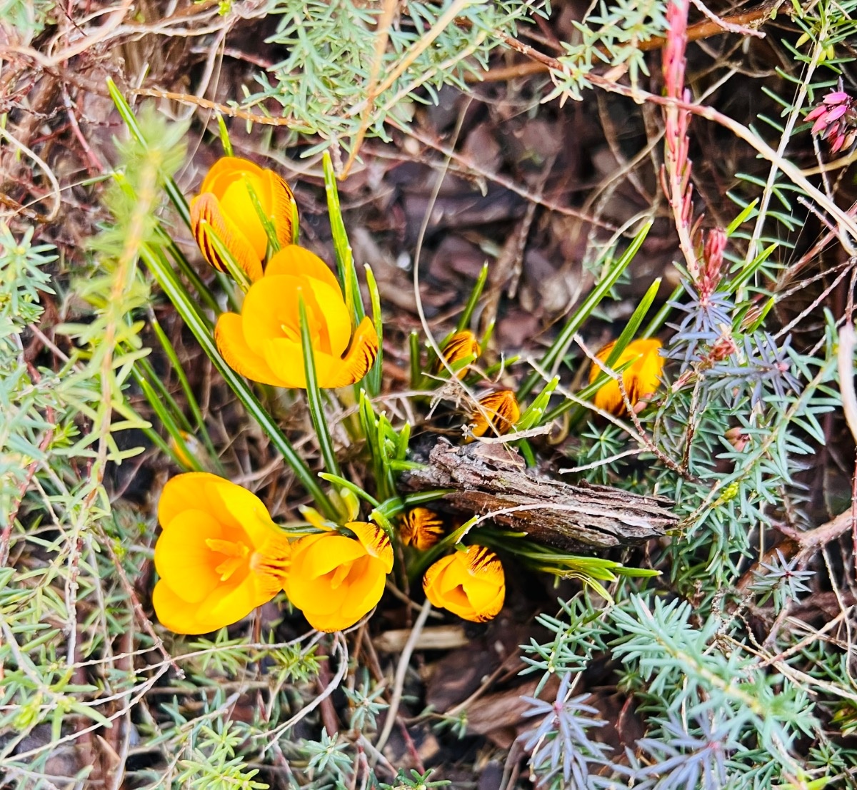 77f24e4a-f6e5-417a-b765-16e0f4b54edb