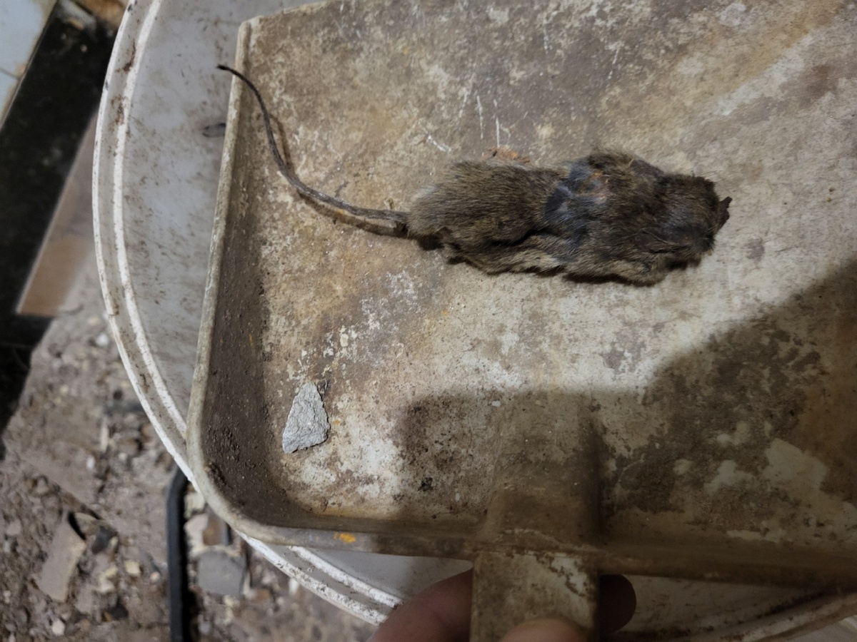 cfc9bf79-4d24-432c-9bb8-adf75daed2fa