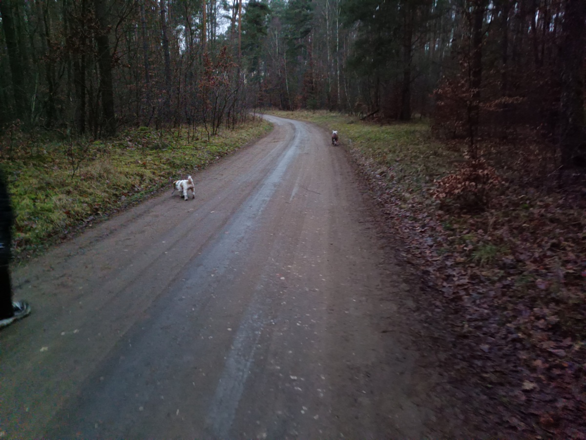 b018578c-5902-4e71-aa77-0f55e6403cdc