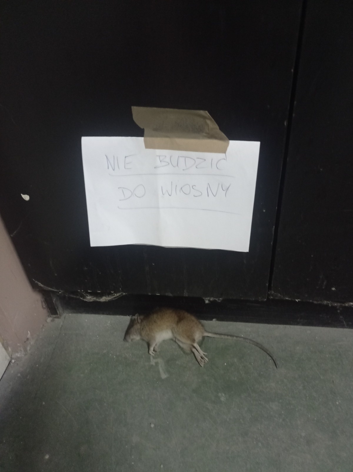 cf6366f9-44f2-45c0-b77e-5231eb3c22b6