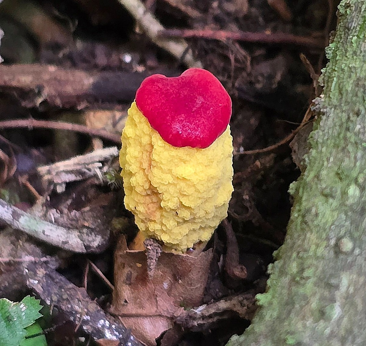 bea96e14-df8b-433c-ba54-eefc17897f13