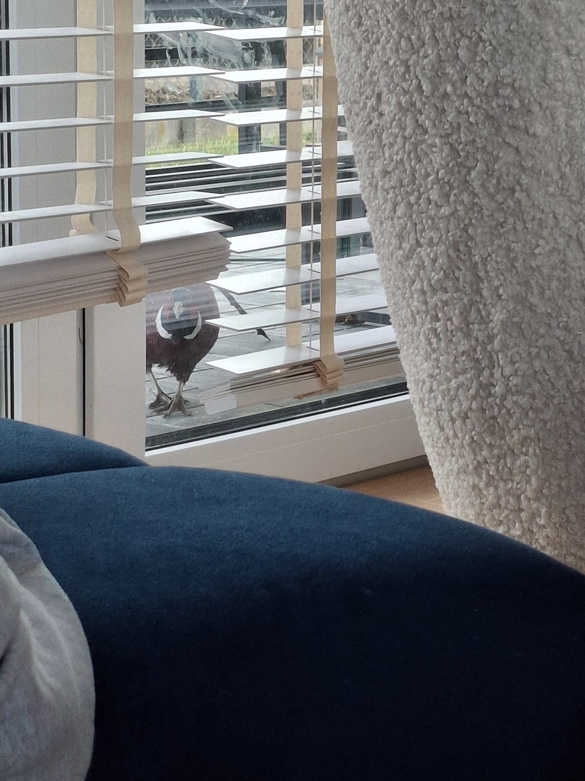 687a3f67-1720-4bcf-bc46-cede62b78424