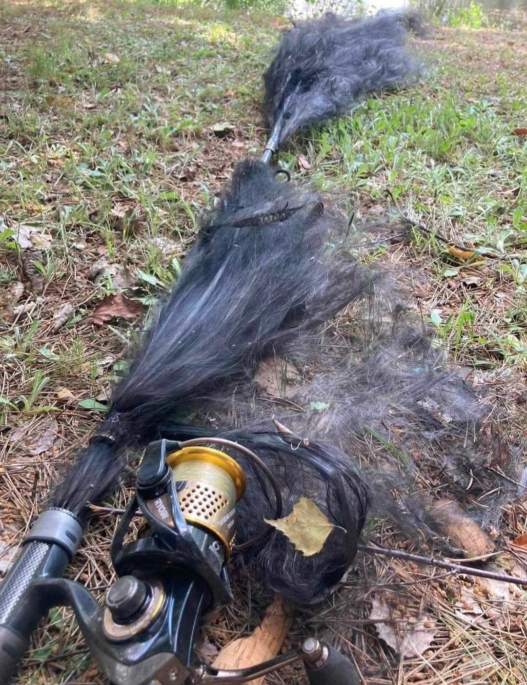 ec9de1b1-e37b-43cc-b64f-e3af0900dd94