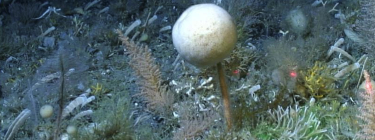 dce6aa8a-d2e8-418a-96f5-5a644a41a2b7