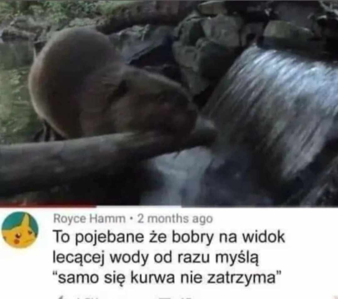 ca86ed8c-4b94-4ac9-bfb1-344abc072e68