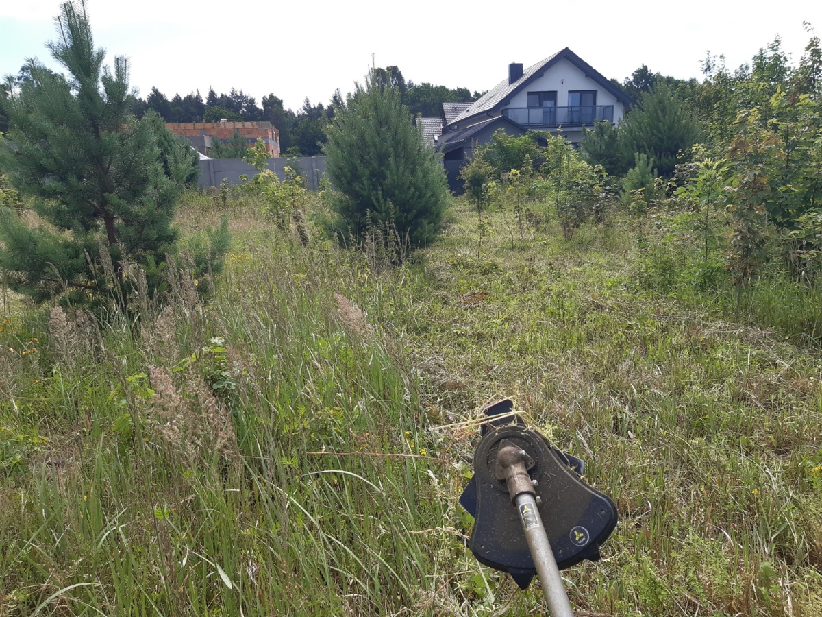 2cff1272-920b-4884-b3c6-53abb4dfc0b7