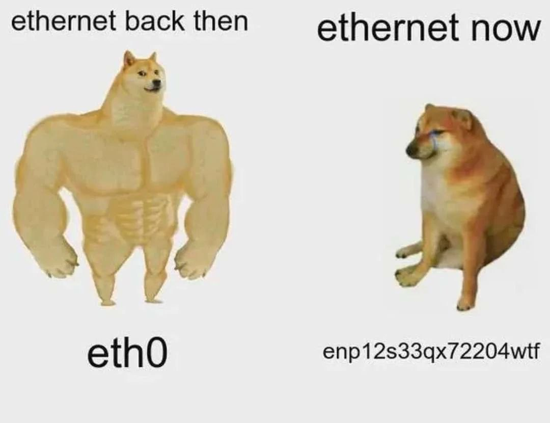 f4c9f58d-80ed-4de0-96db-f72d5e41121e