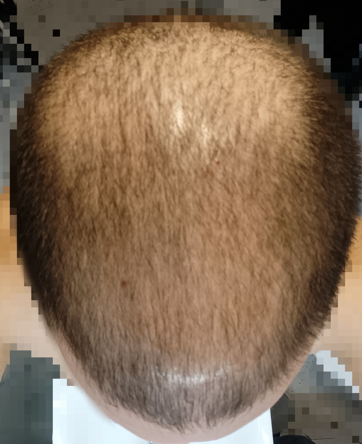 e09a576d-9bcb-4e77-8317-2cda0d5e2611