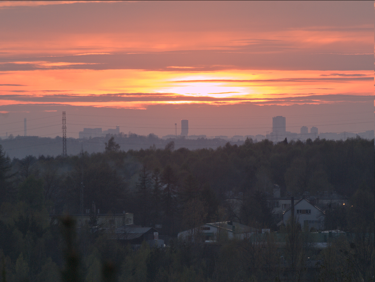 95b93537-4a08-402d-b7b8-7b58a0b42317