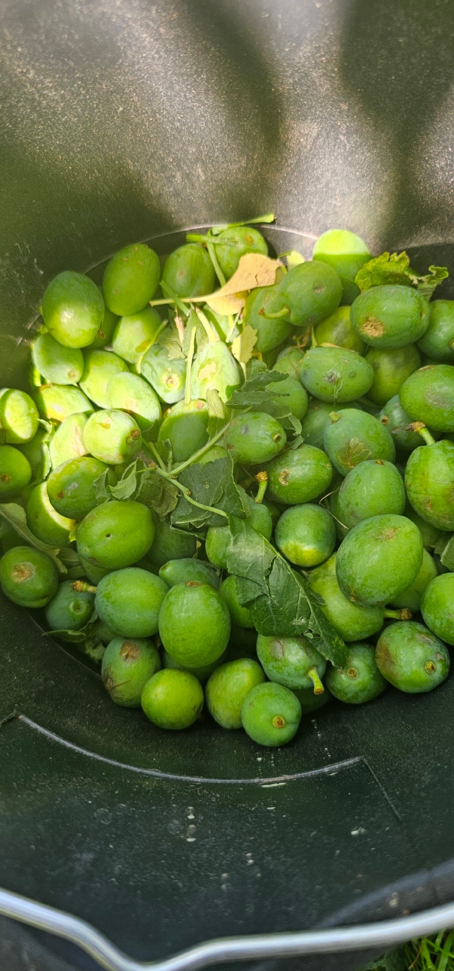 3adb3ef0-7099-475f-8629-4abe0fc02a06