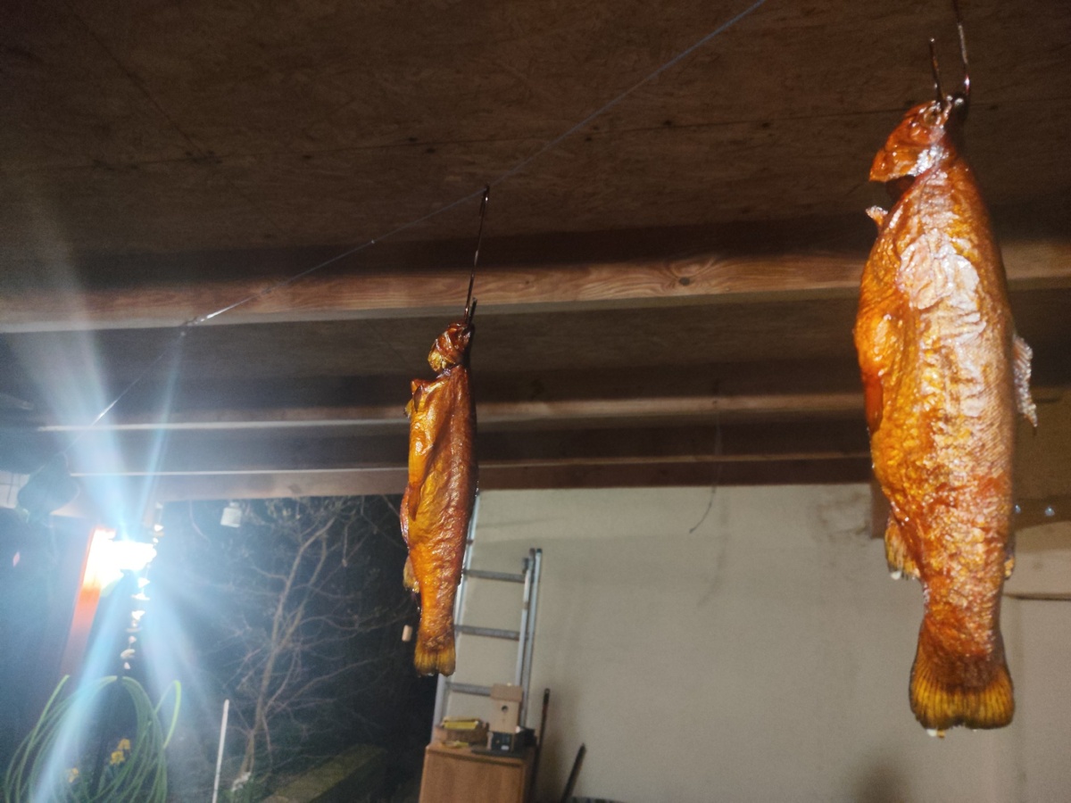 42be13a3-1ac0-433b-92bf-c014d30dd63a