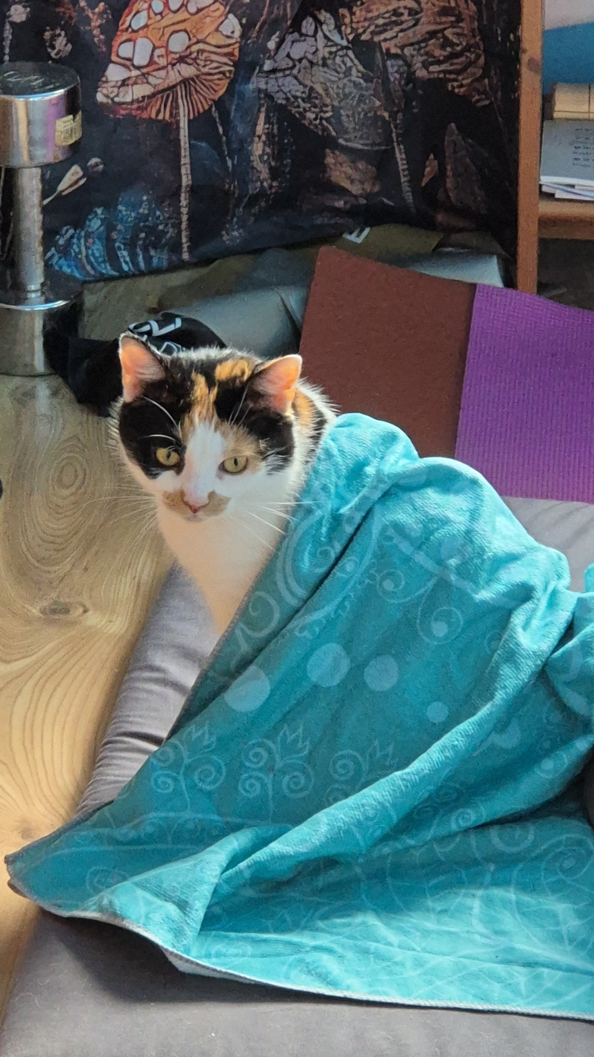 389e5adb-7cf4-4a87-a4ea-36f695ef6ba1