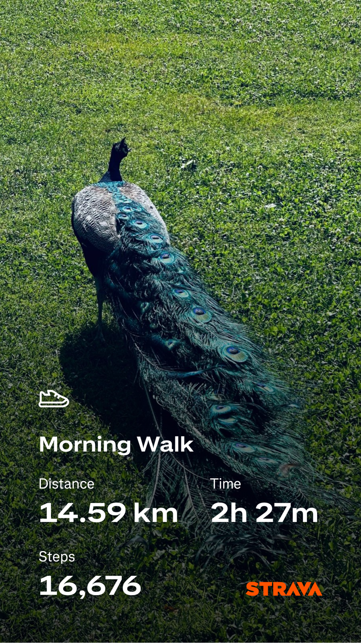 4961ea4e-4040-4328-a6fa-e878d96cff9a